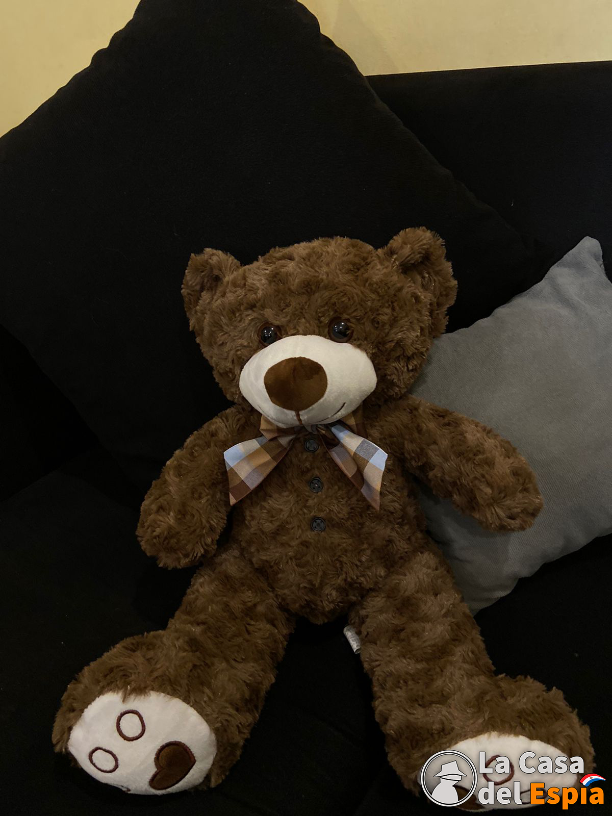 Oso de Peluche con Cámara Oculta 1080p – Transmisión en Vivo